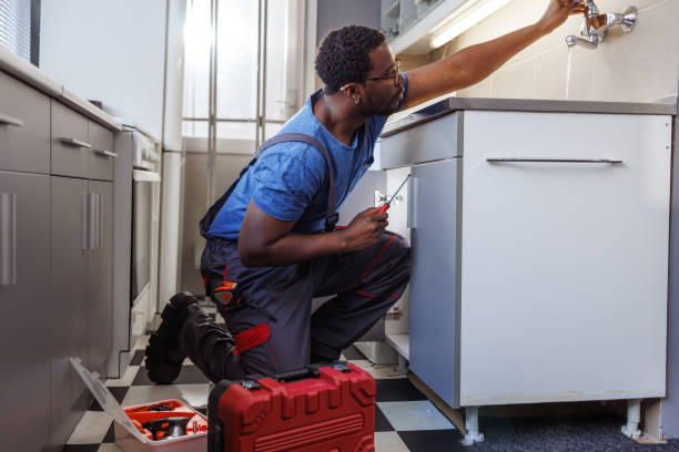 Best Clogged Drain Plumber  in Monroeville, OH