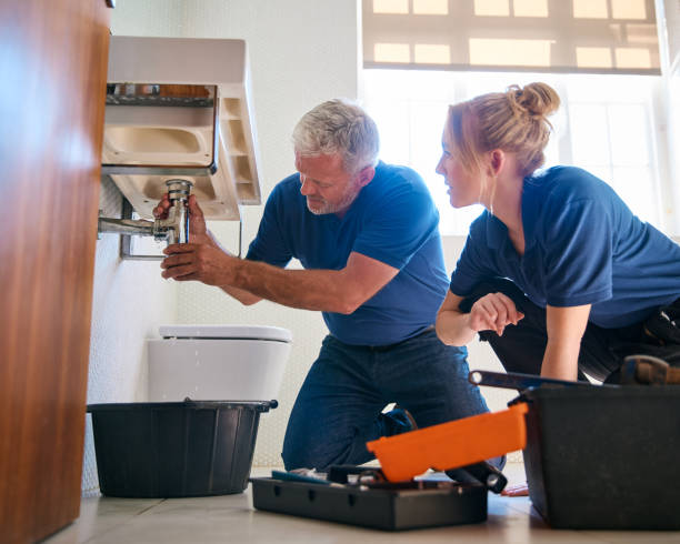 Best Local Plumber Services  in Monroeville, OH